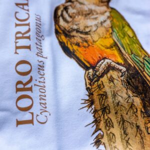 Polera Tricahue