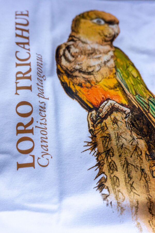 Polera Tricahue
