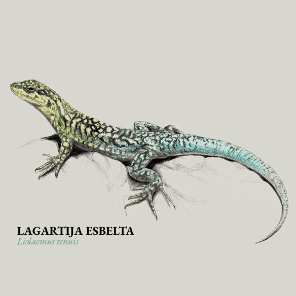 Polera Lagartija - Imagen 4