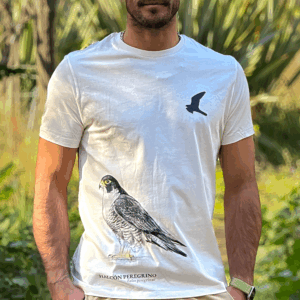 Polera Halcón Peregrino