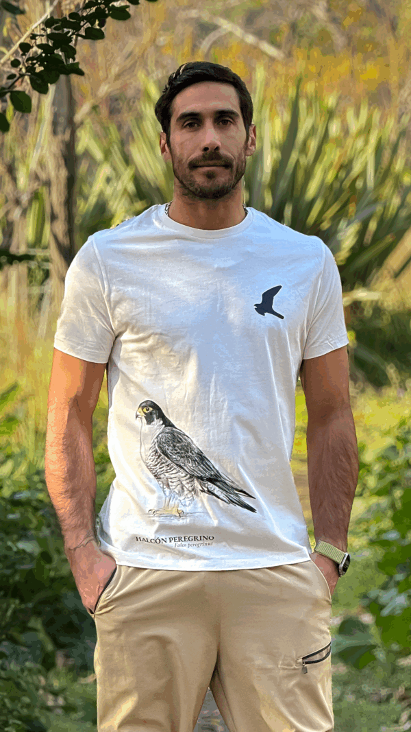 Polera Halcón Peregrino